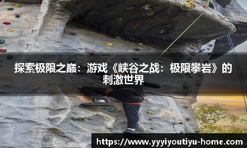 YY体育